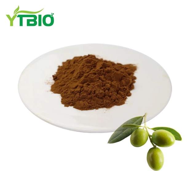 Olive extract Powder